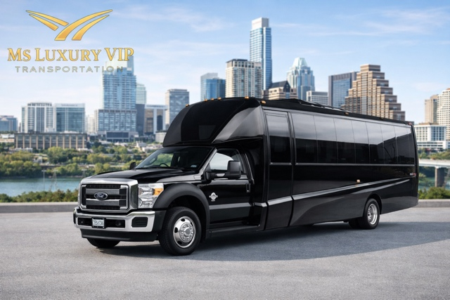Executive Mini Bus