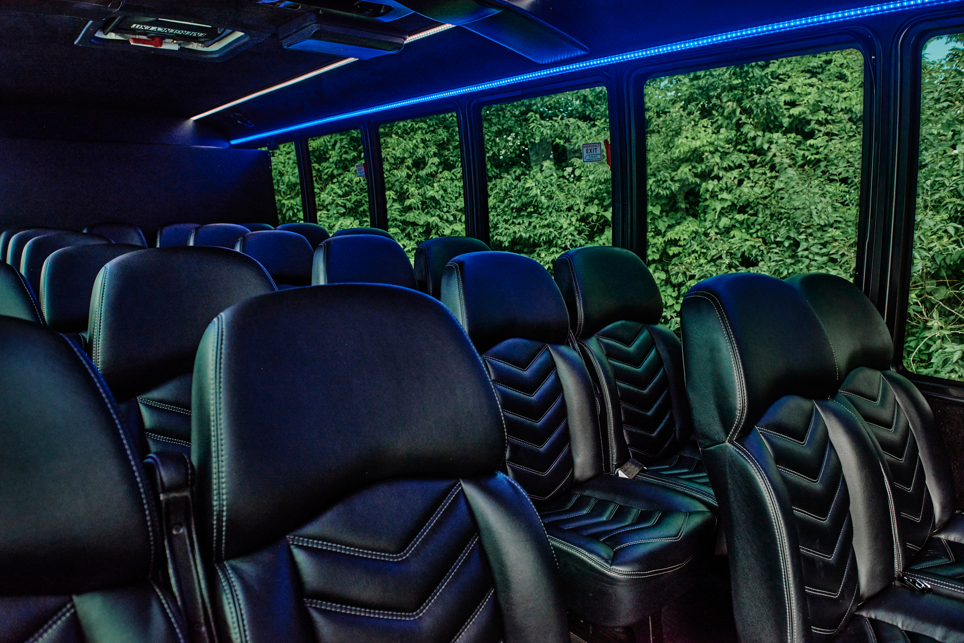 Mini Coach - Image 3