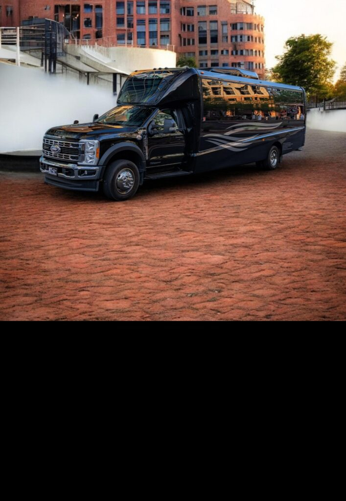 Party Bus or Limo Buses