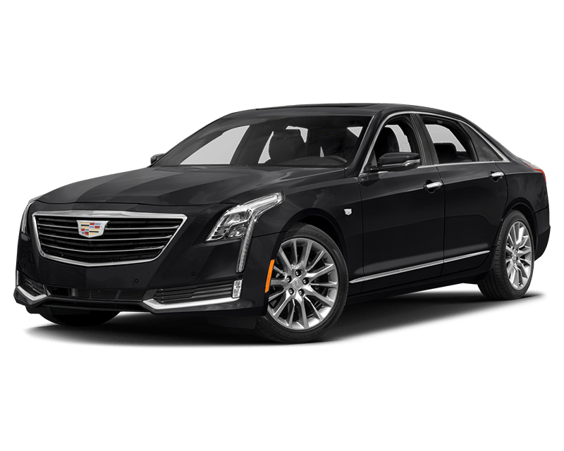 Business Sedan Fleet