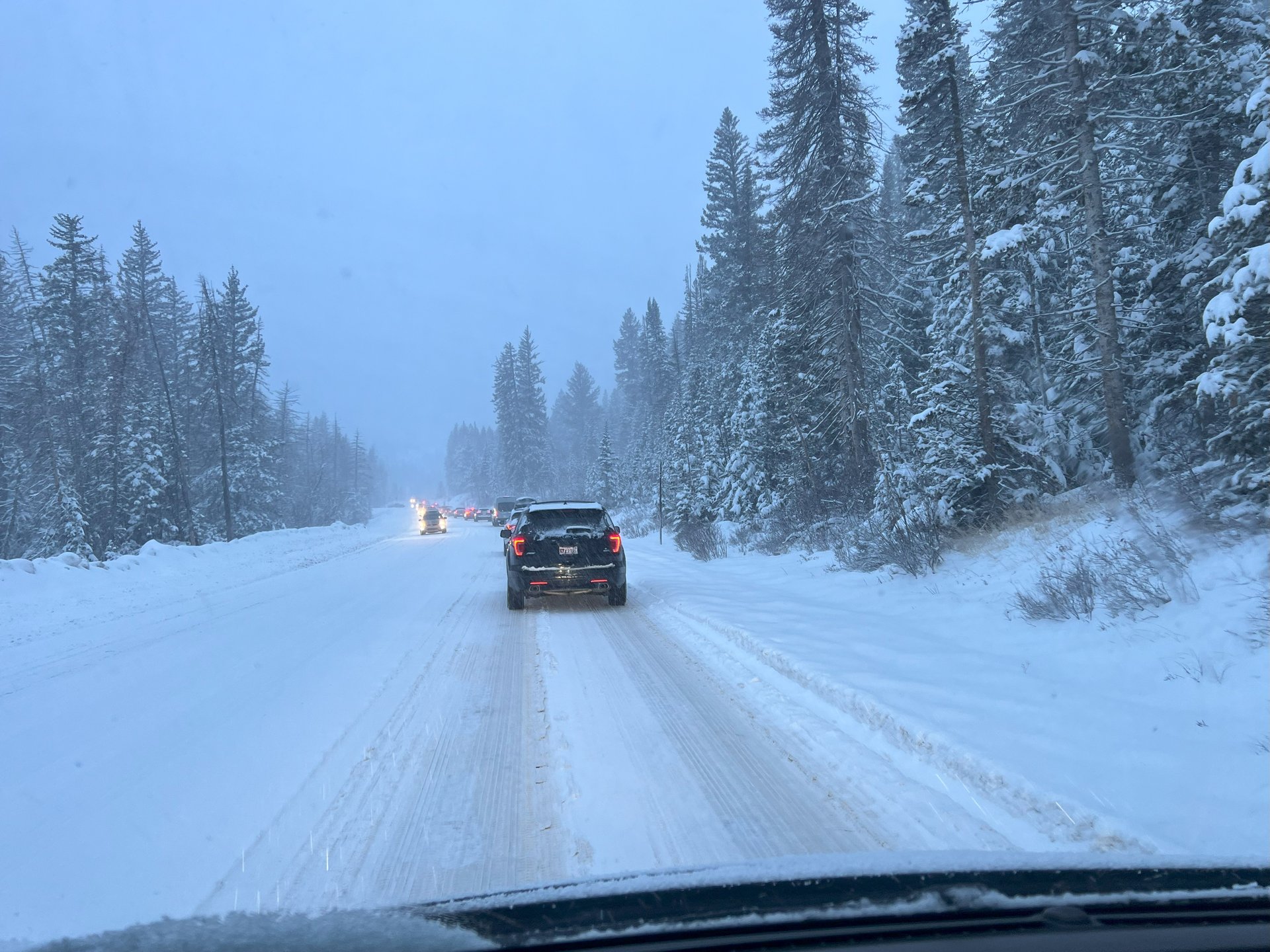 gracetransportation photo-album