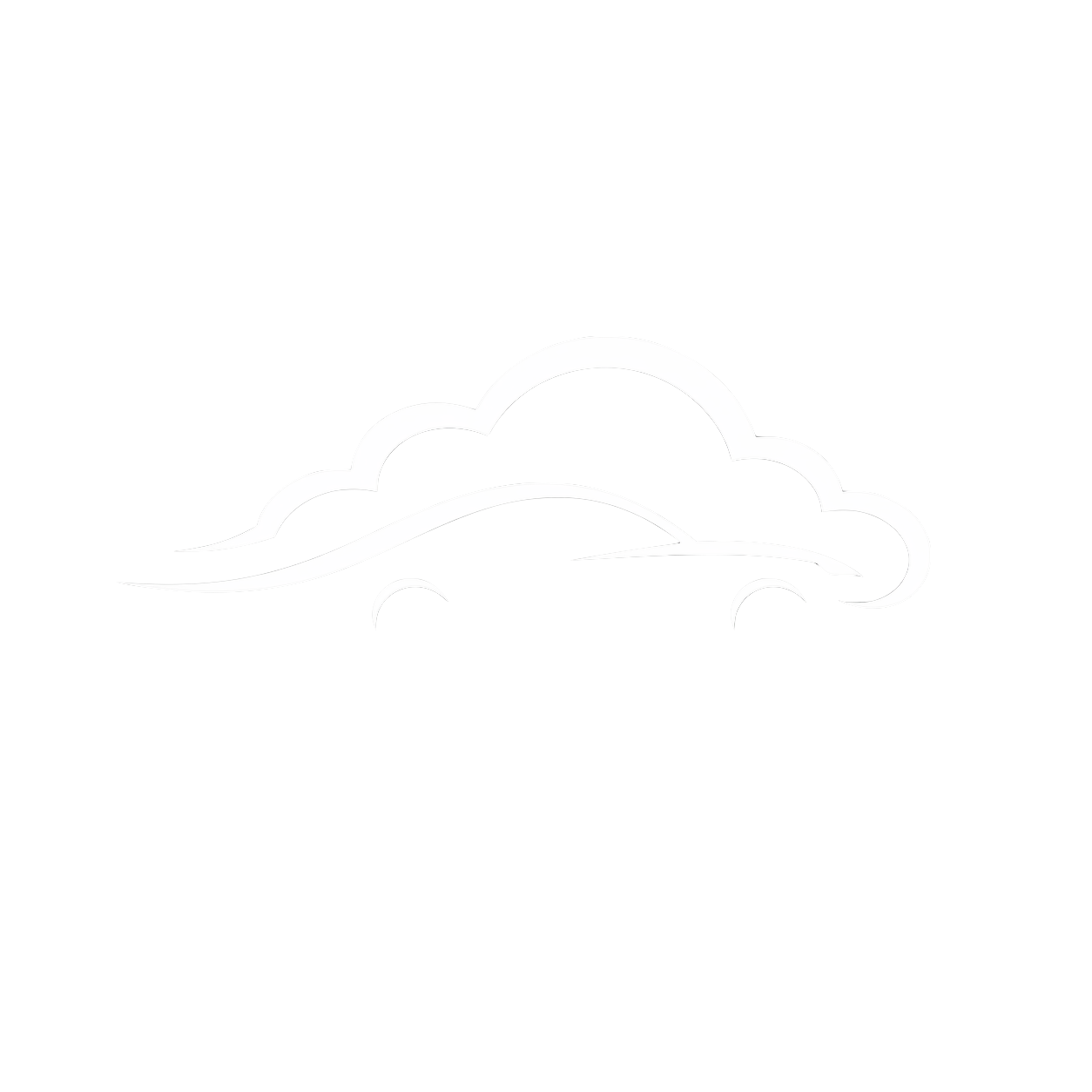 Flying Nimbus LLC