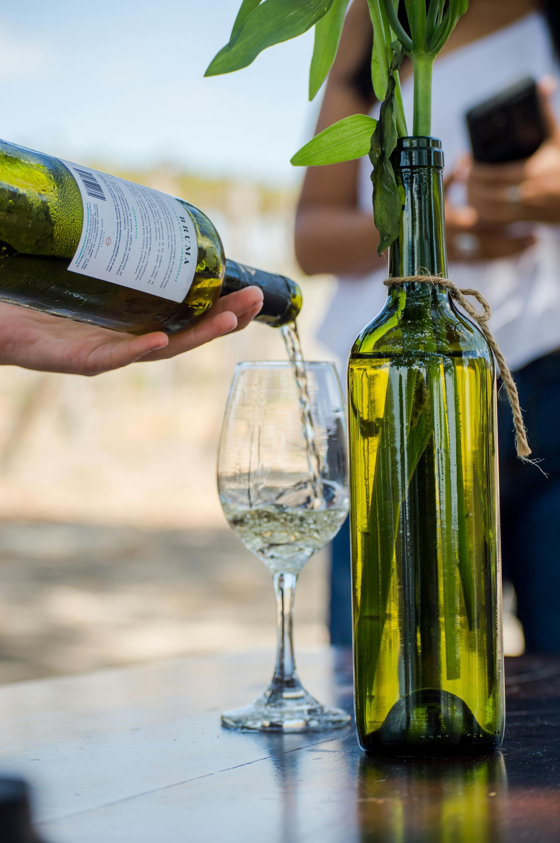 Wine Tour