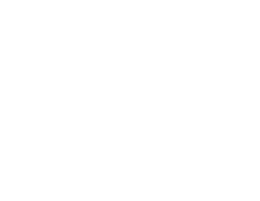 Mr Shuttles