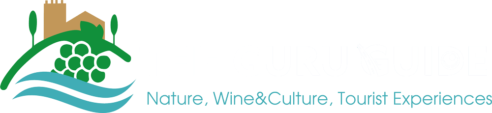 The Guru Guide