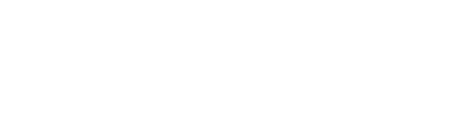 Scandic Limousine Service - VIP LIMO SERVICE AVAILABLE 24/7