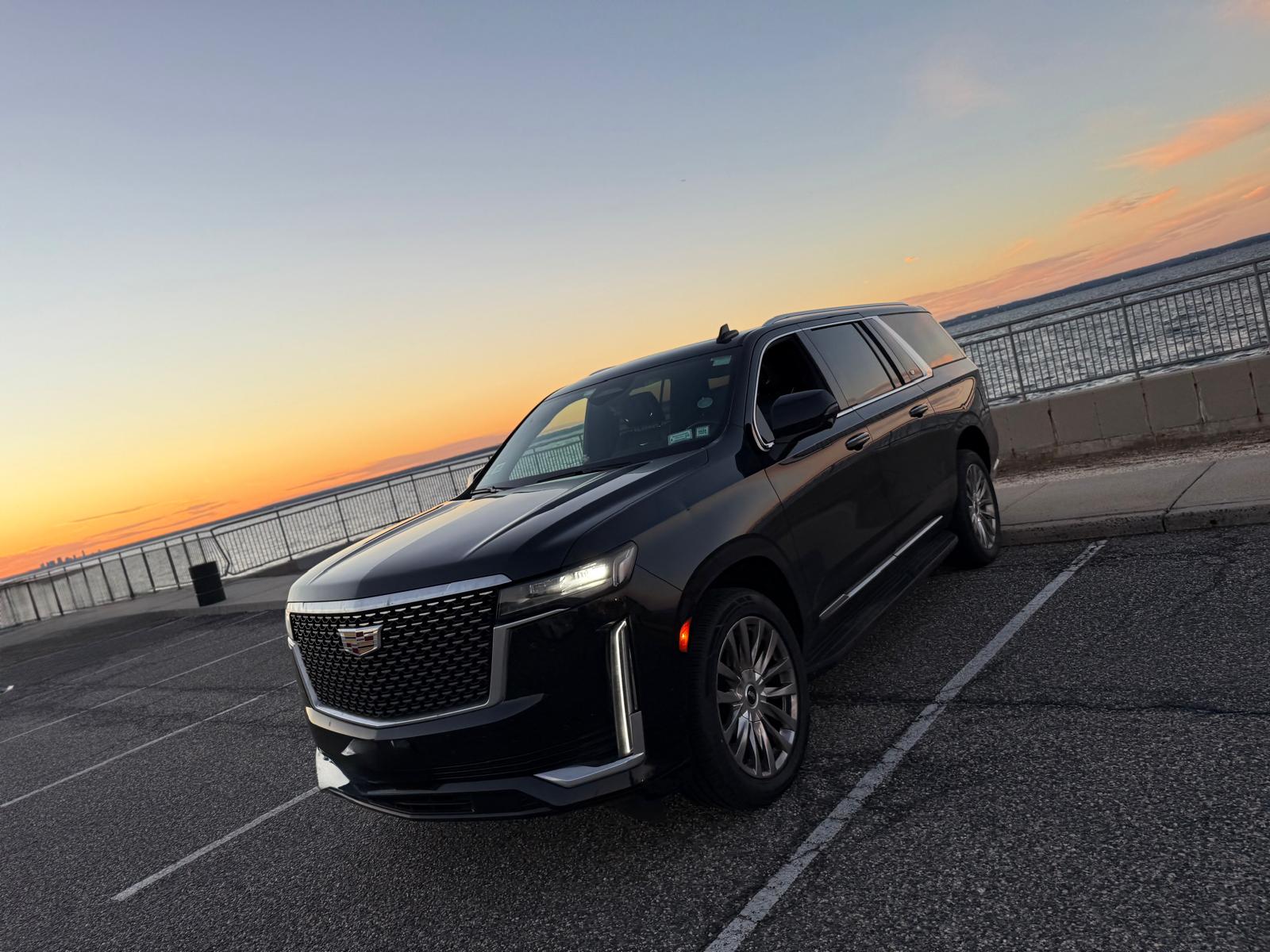 Professional Chauffeur Service