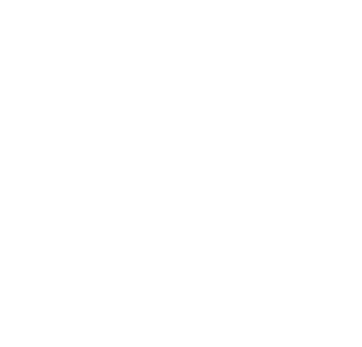 LEGACY RIDES LLC