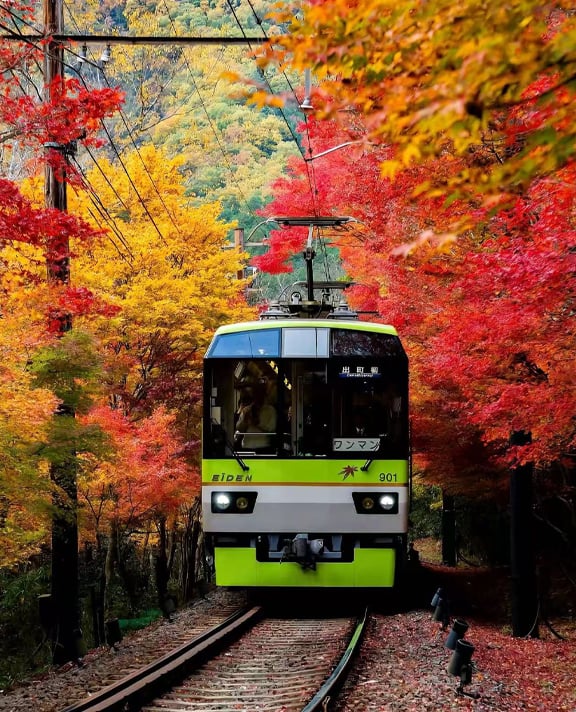 Maya Shouji , Ltd. - Your Trusted Partner for Premium Transportation in Japan
