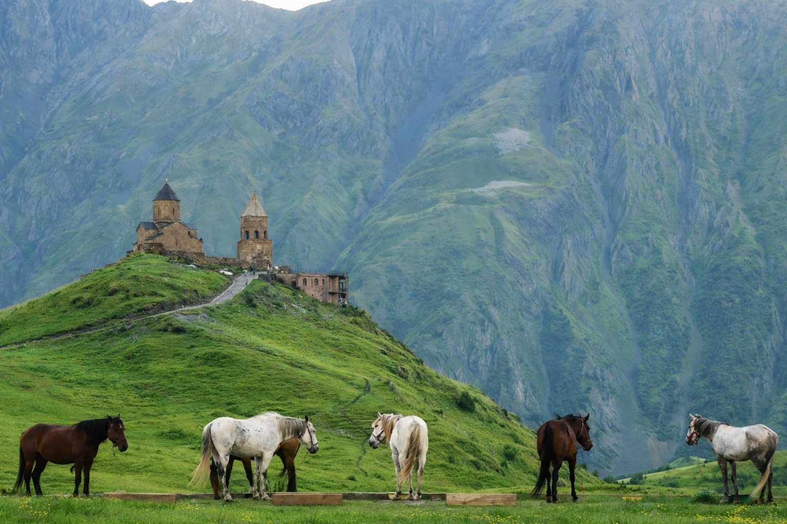 Memoire Travel To Georgia - Create Your Memory With Us