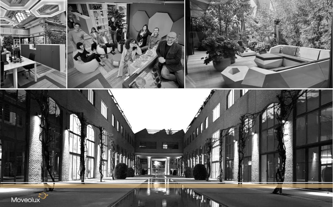 Moveolux Milan Headquarter Location