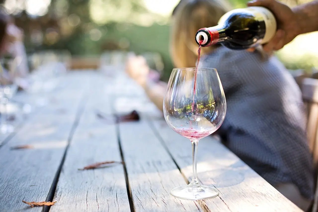 Wine Tours and Sightseeing