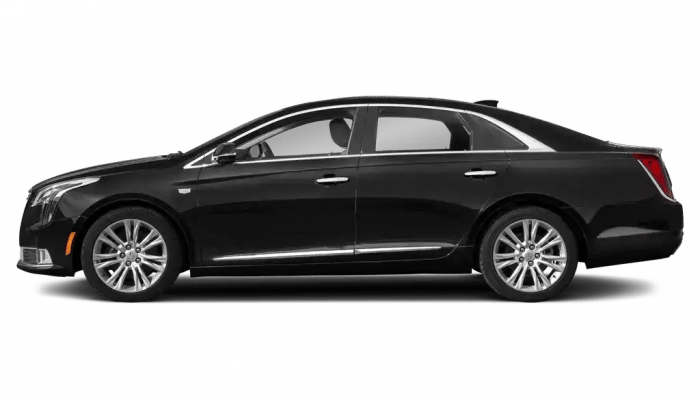 Business Sedan Fleet