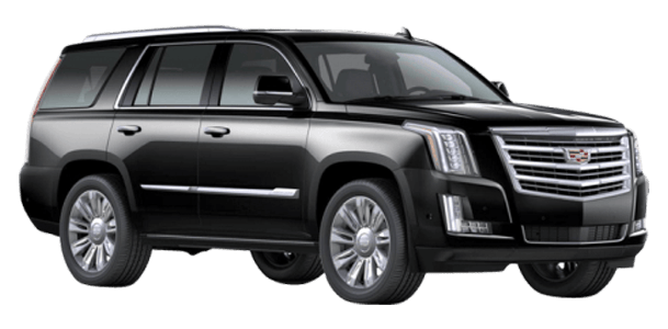 SUV Escalate Fleet