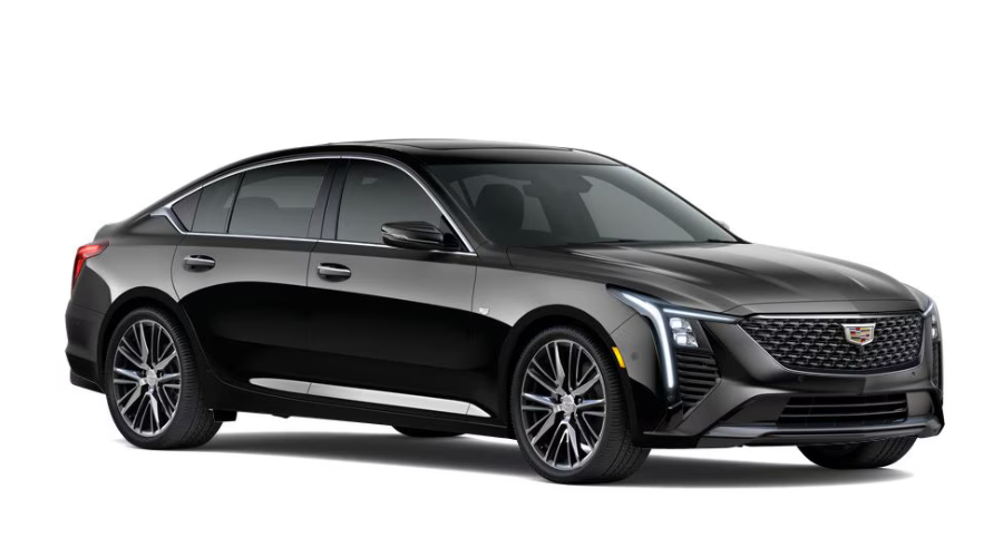 Luxury Sedan Fleet