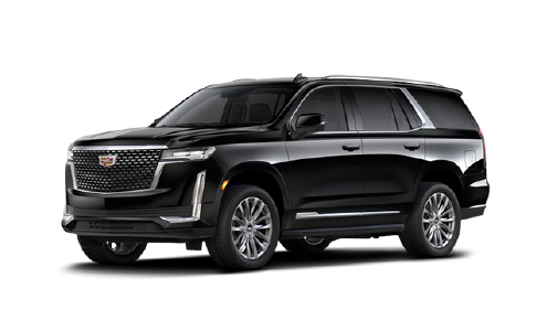 Business SUV Fleet