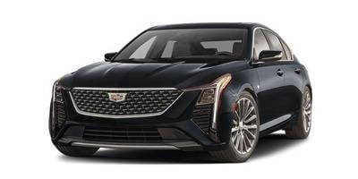 Luxury Sedan Fleet