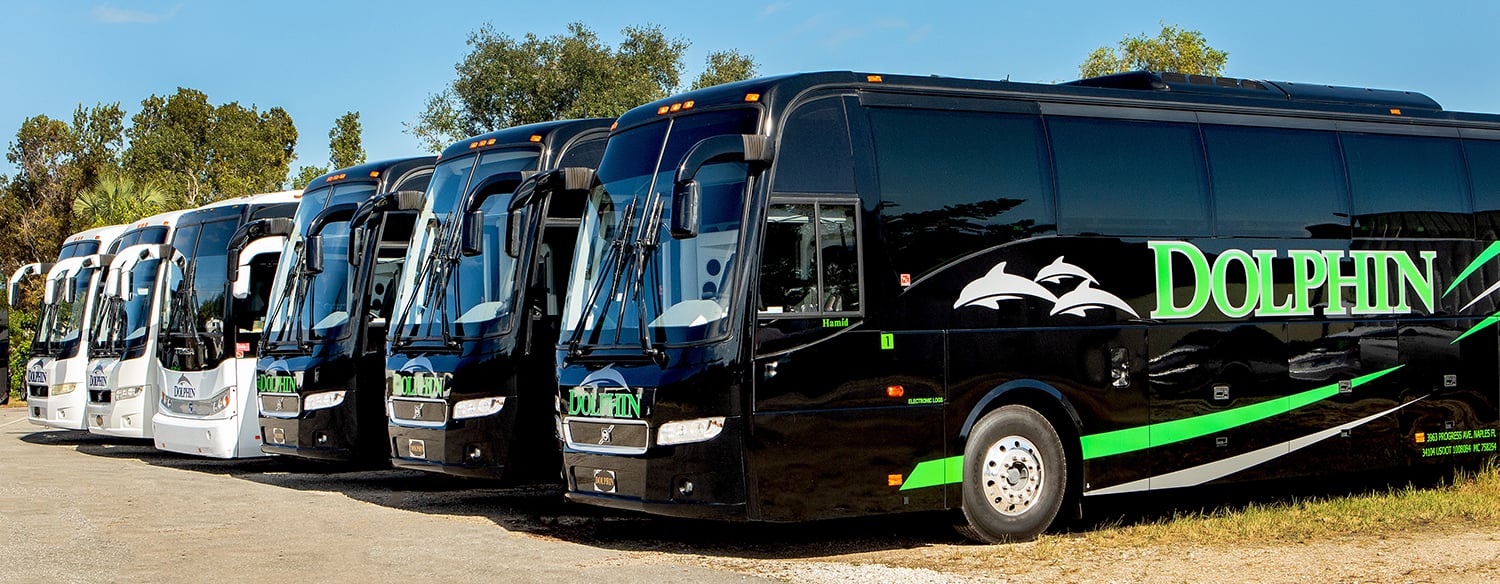 White Mini Coach – Temsa 40 Passenger Fleet