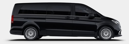 Van Mercedes Classe V, Mercedes Viano Fleet