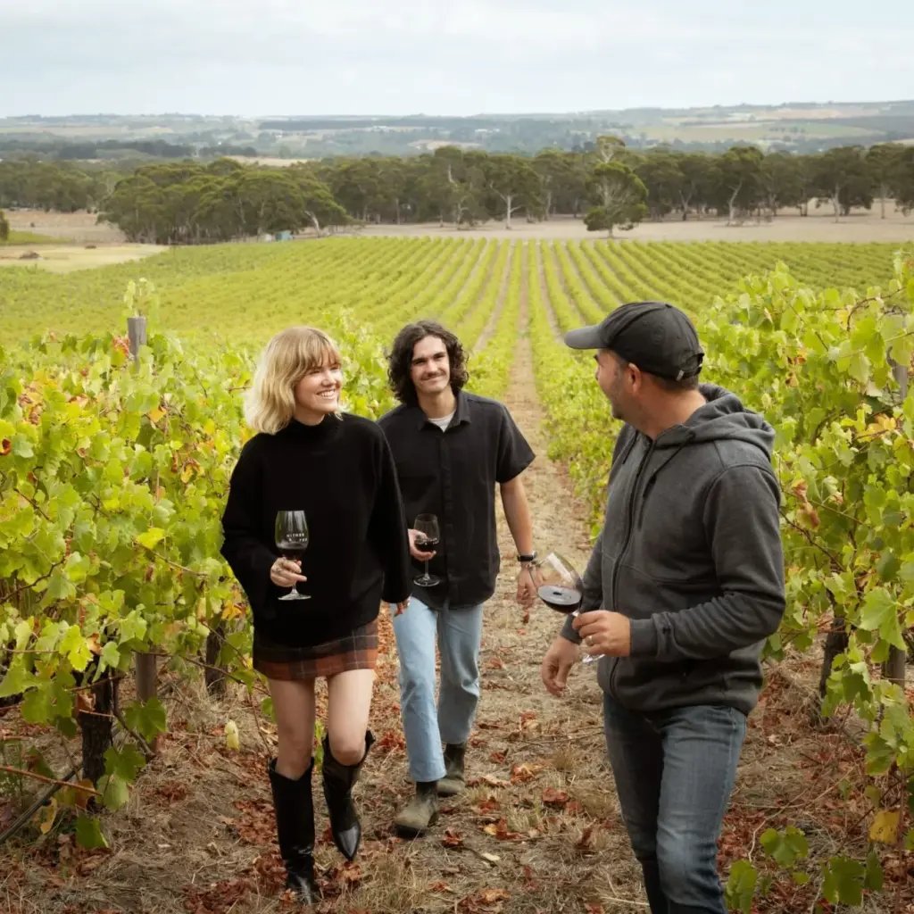 Wine Tours