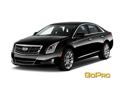 Lux Sedan Fleet