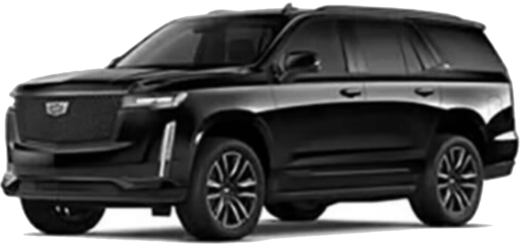 Business SUV Fleet