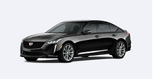 Premium Executive Sedans Fleet