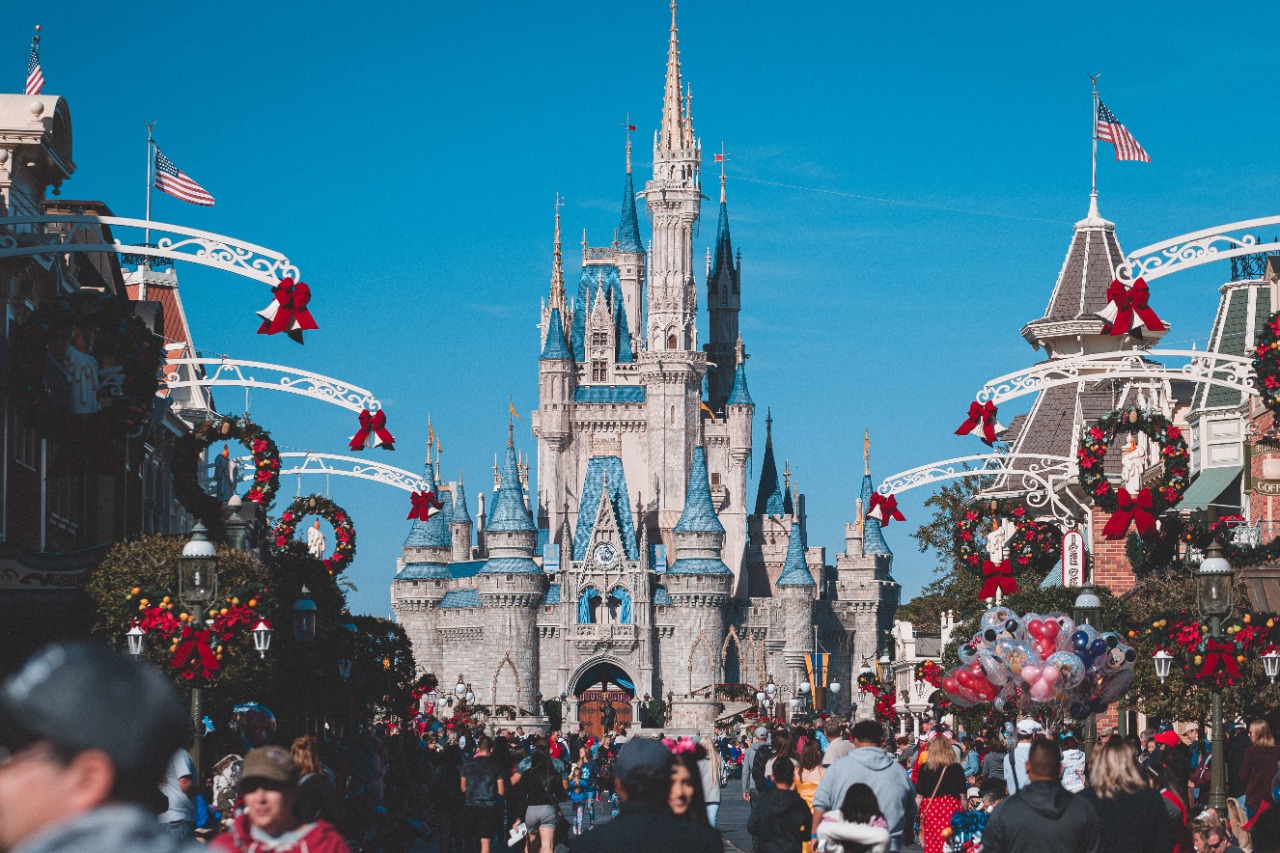 Disneyland Transportation