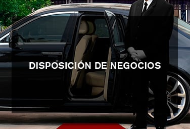 Servicios de disposición