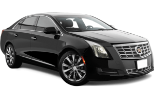 Executive Sedan Fleet