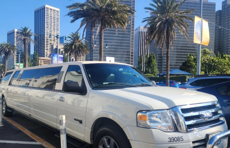 Ford Expedition Fleet