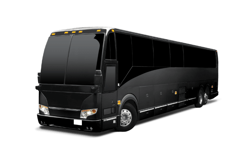 Bus Fleet