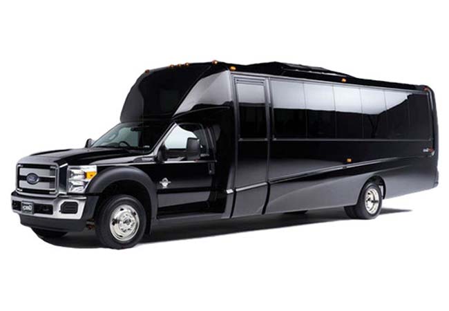 Mini Bus Fleet