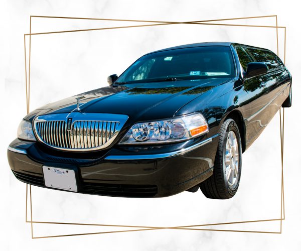 Limo Fleet