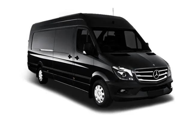 Premium Van Fleet