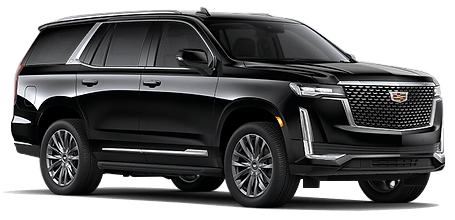 Business SUV/Van Fleet