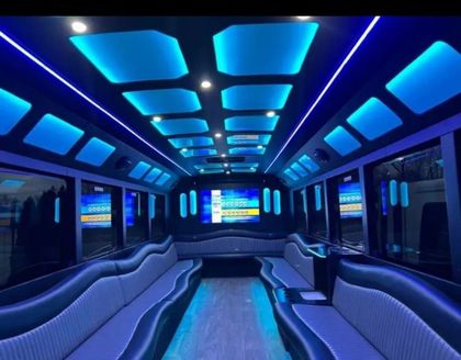 Party Buses Fleet