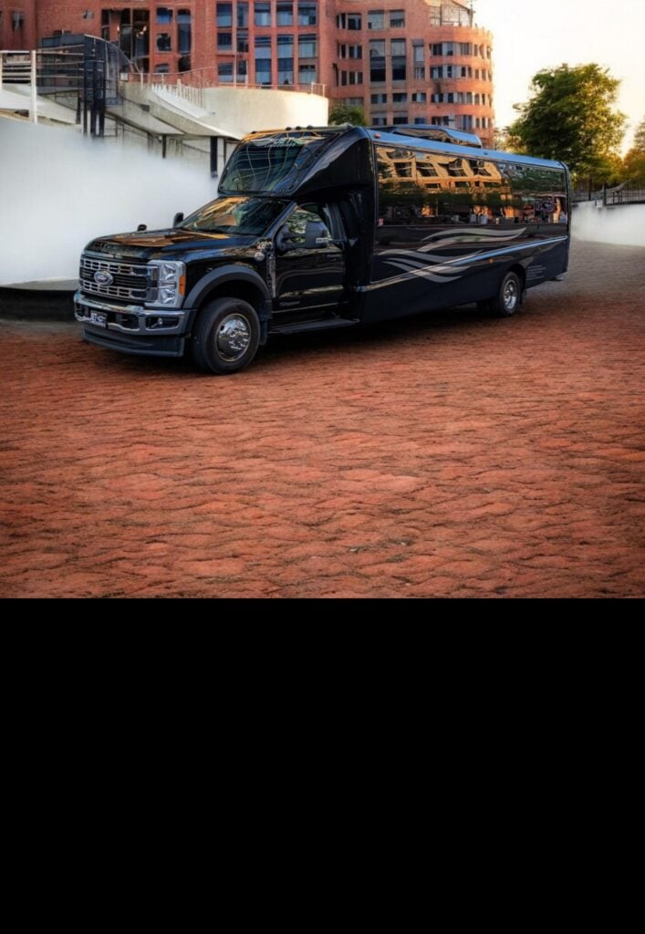 Party Bus or Limo Buses Fleet