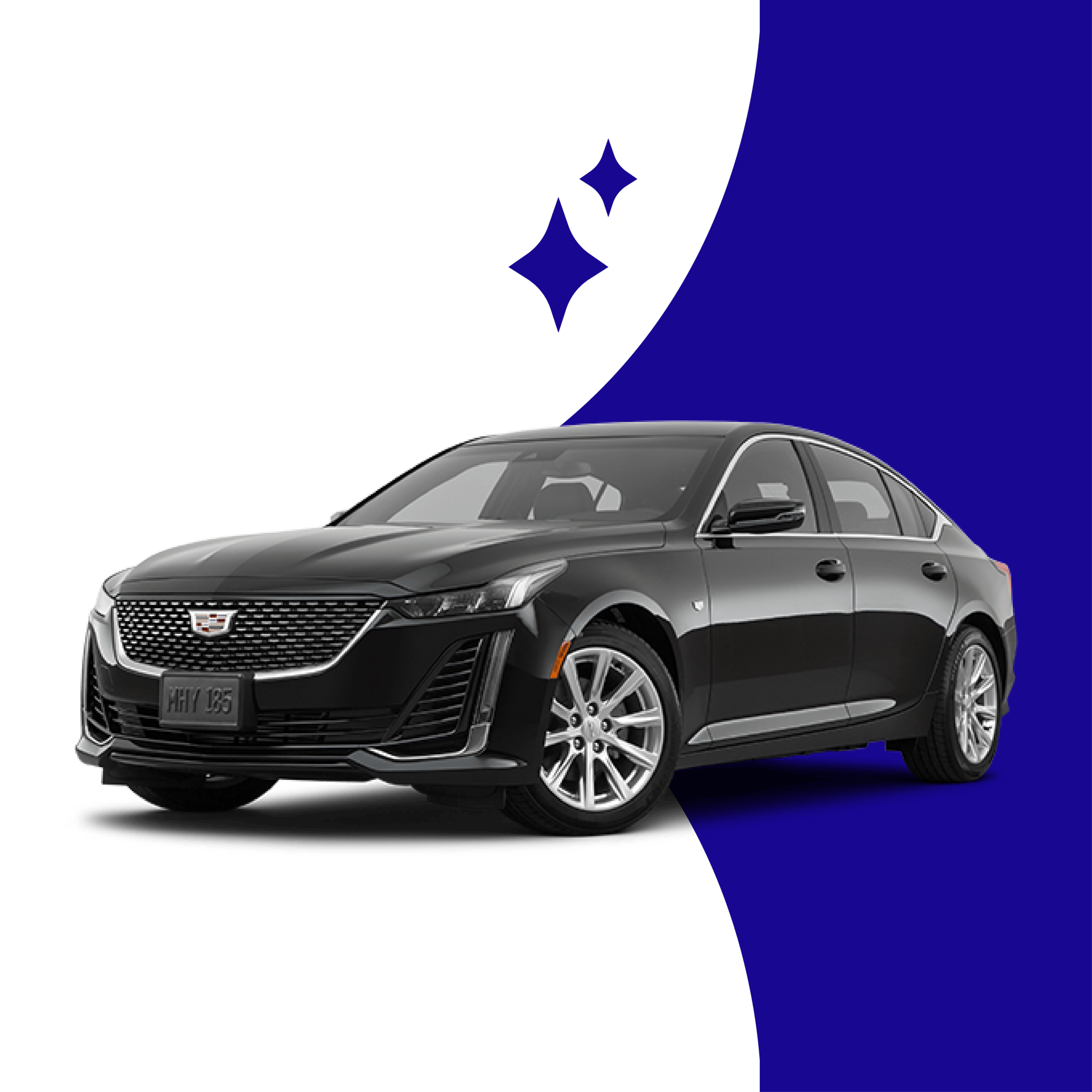 The Ultimate Party Limousine Fleet