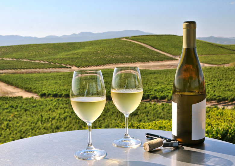 Wine Tours
