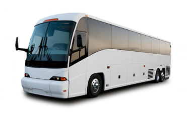 Buses Fleet