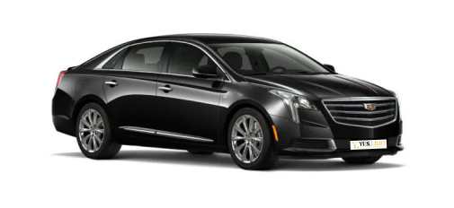 Business SUV Cadillac Escalade ESV, Lincoln Navigator or similar Fleet
