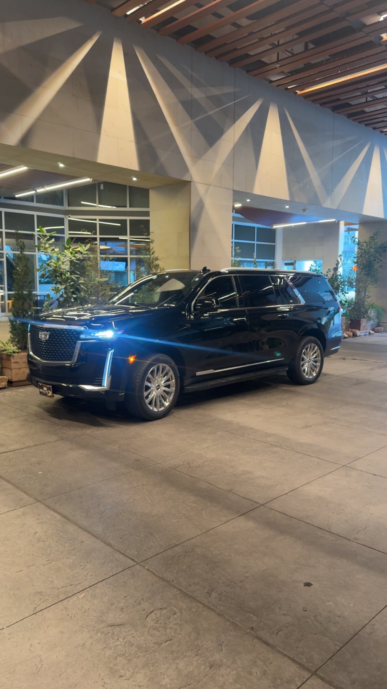 Executive SUV Fleet