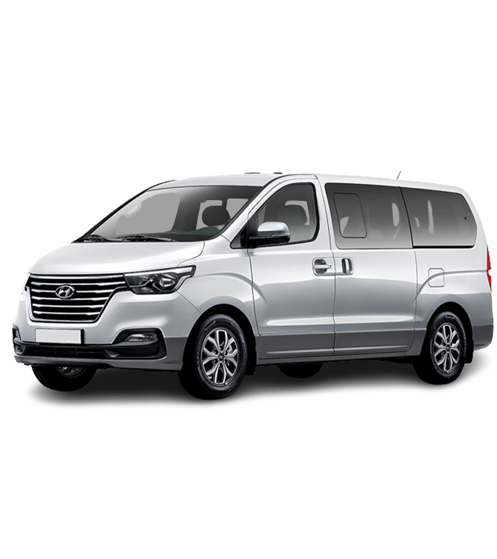 Mini Van Fleet