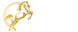 BlackLine Miami