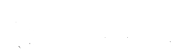 Fast Ice Inc