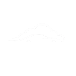 Flying Nimbus LLC