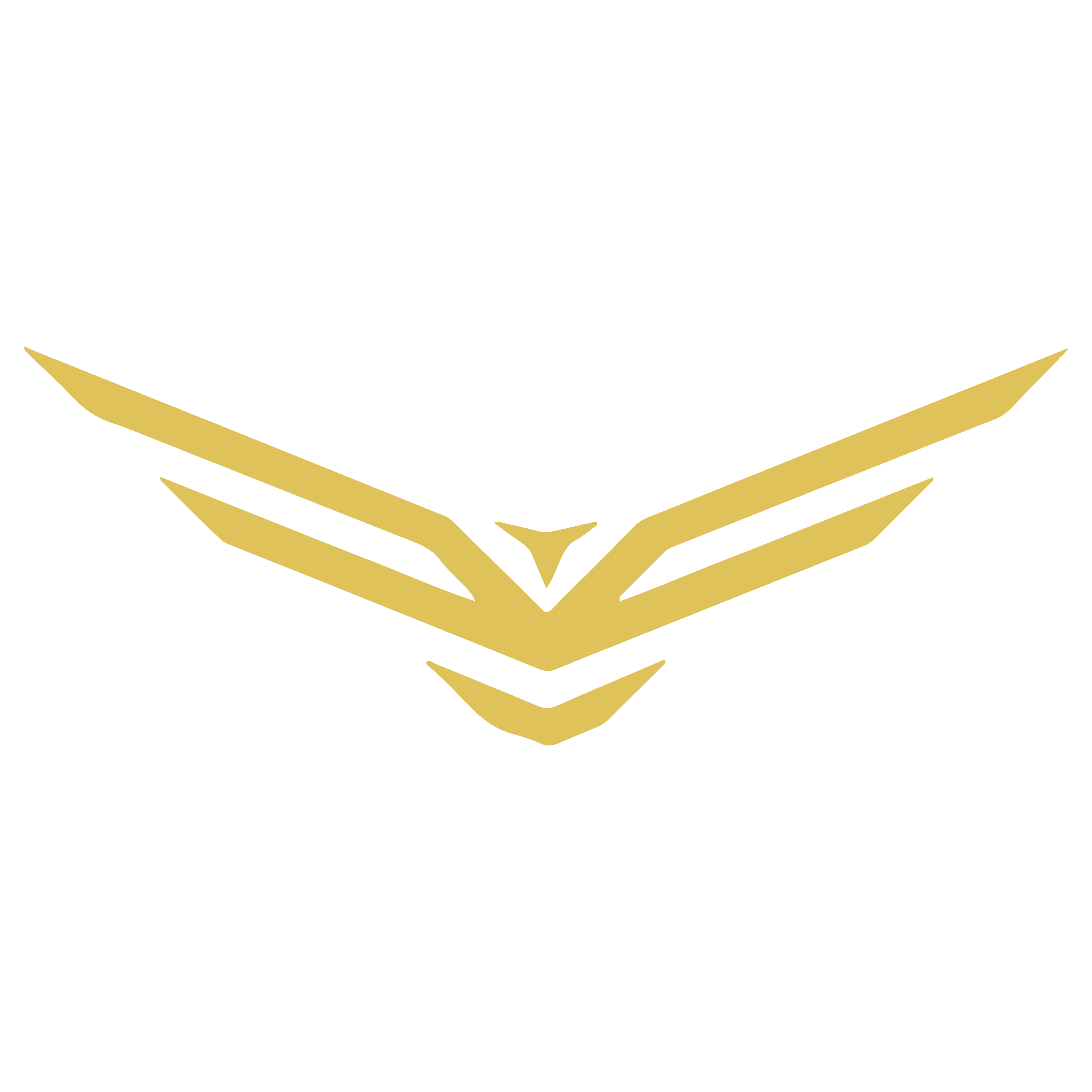 Godandi and Sons, Inc.