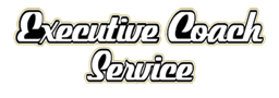 Executive Coach Service