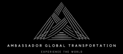 Ambassador Global LLC